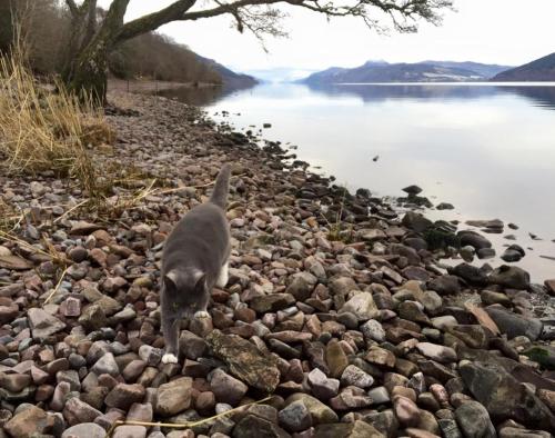 Balachladaich Loch Ness B&B
