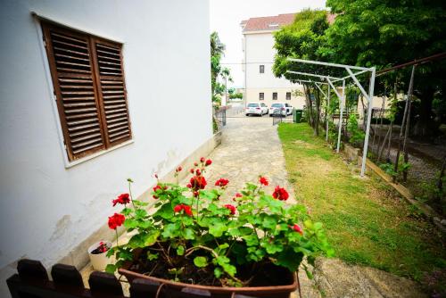 Apartments Bobo - image 11
