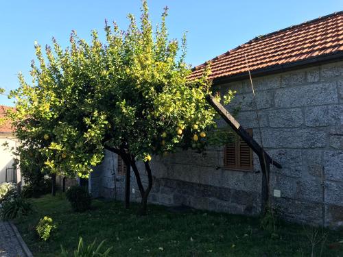  Quinta de Sandrigo in Amarante