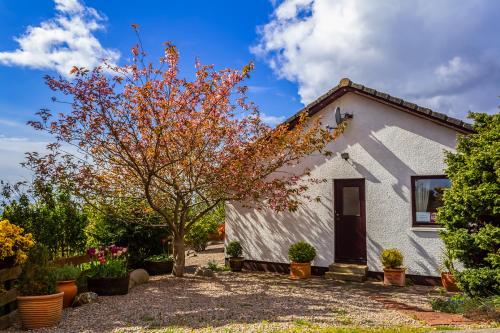 Viewpoint Guesthouse chambre d'hôte Knockfin Heights