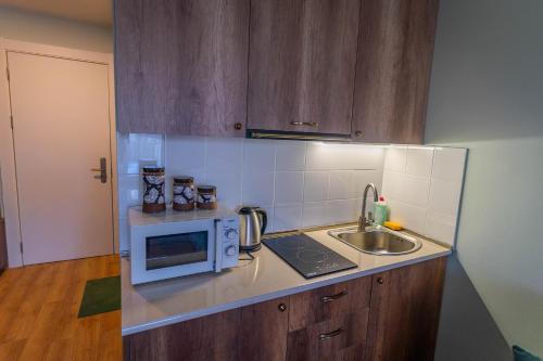 Chrdili Residences New Gudauri (Redco Loft 1)