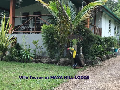 Maya Hill Lodge