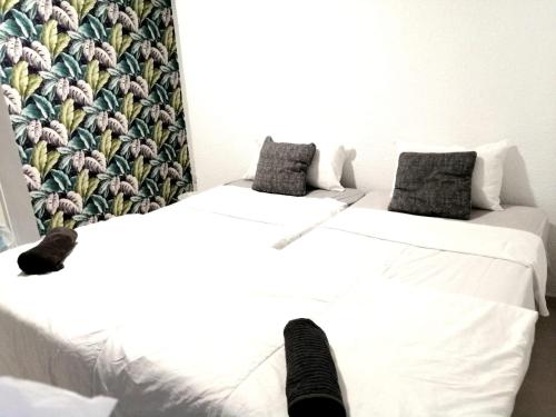 ROOMS IN THE HEART OF ALICANTE! chambre d'hôte Alicante