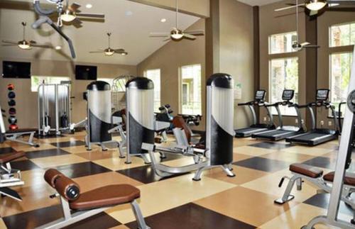 Resort Style Apartment/Home - The Woodlands - image 3