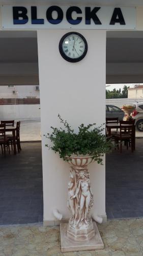 Carisa Livadia Gardens 2