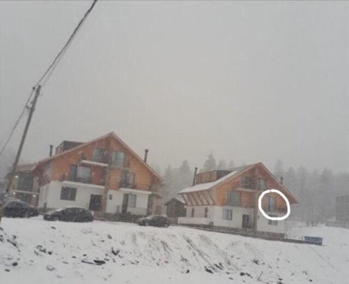 Tea Apartment - Bakuriani