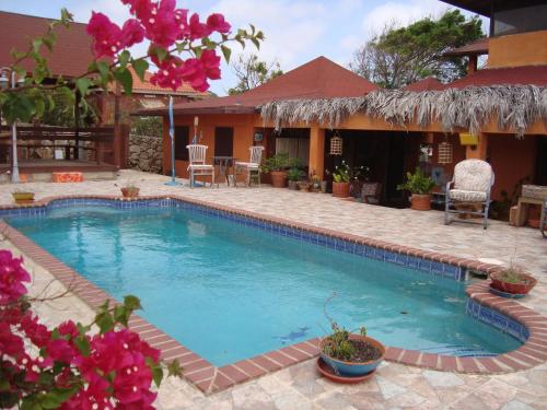مسبح, Fuego Mio Bed & Breakfast in أورنجستاد