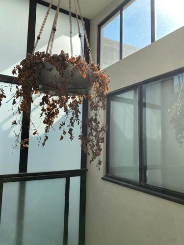 Casa Londres - image 2