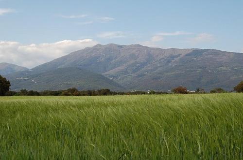 Turó de L´Home