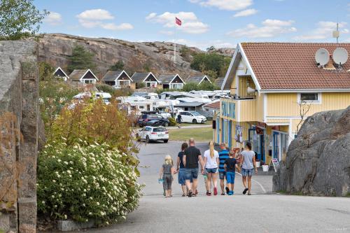 zelt wasserdicht 2 personen Bessport Camping Zelt 2 Türen Ultraleicht leicht und einfach zu Bauen Belüftetes 4 Jahreszeiten Kuppelzelt geeignet für Größe:Easy Entry 46 cm / XS Les Mimosas - Ajaccio J4A