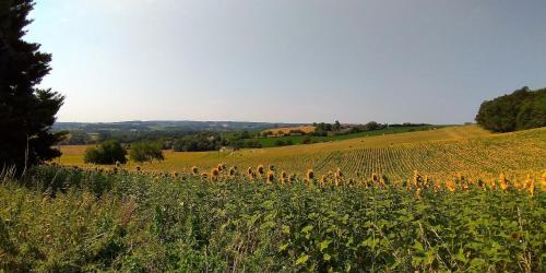 Les Gîtes de La Treille