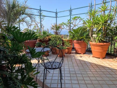 Terrazza Pavone - image 7