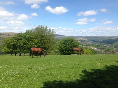 Ty Shon Jacob Farm, , South Wales