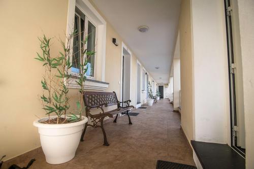 앙그라 두 에루이스무 Costa & Isaias Apartamentos 3성급 호텔 외관