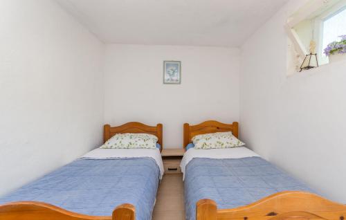 House Talija - image 3