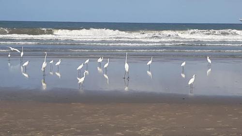 Casa de Praia Ilhéus