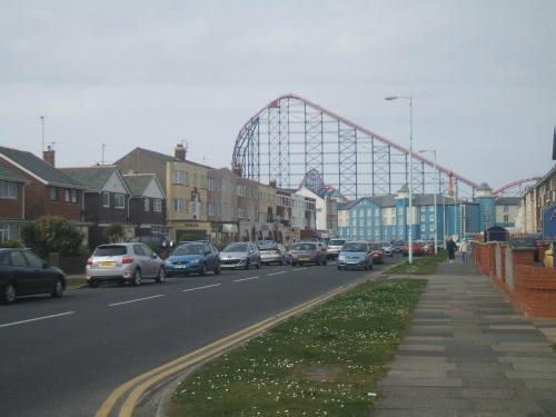 Royal Hotel - image 2