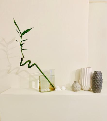  Beautiful Comfortable Guest House in Kifissia in Athen