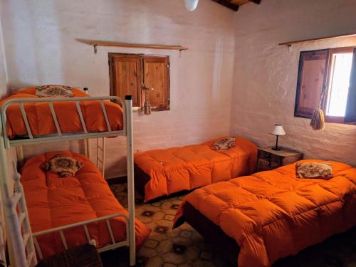 2 twin beds, 2 bunk beds