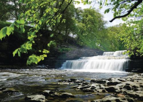 Aysgarth Lodges