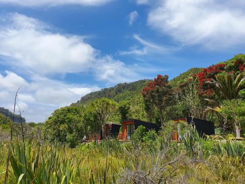 Punakaiki Beach Camp Punakaiki