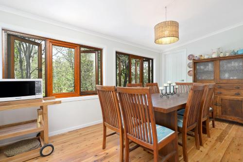 The Odd Gecko in Tamborine Mountain