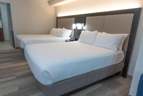 Holiday Inn Express Hotel & Suites Erie - North East an IHG Hotel - main image