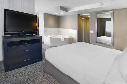 Deluxe King Suite image 5