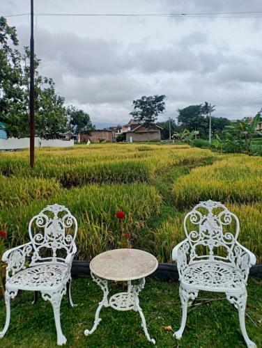 Putri Duyung Guest House in Karanganyar