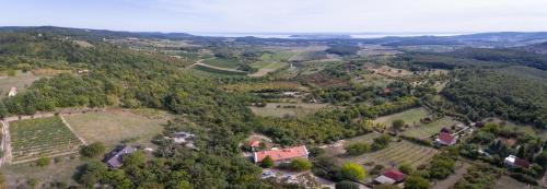 Gella Kúria in Balatonszőlős