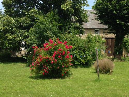 gîte le tilleul de la Fontaine - Alluy