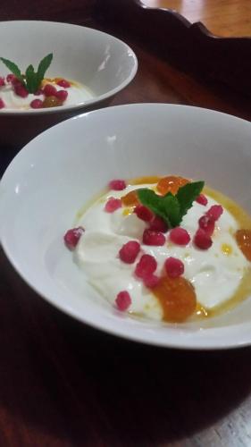 Karoo Pandok Guesthouse Bethulie Bethulie South Africa