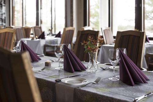 Lapland Hotels Hetta - image 6