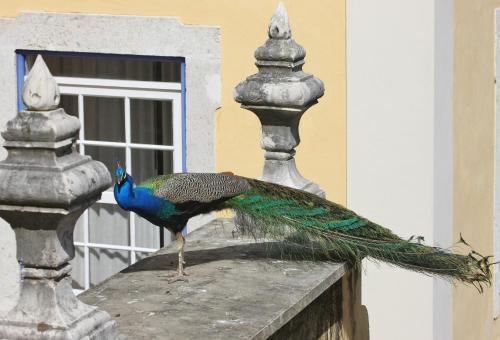 Solar do Castelo - Lisbon Heritage Collection - image 11