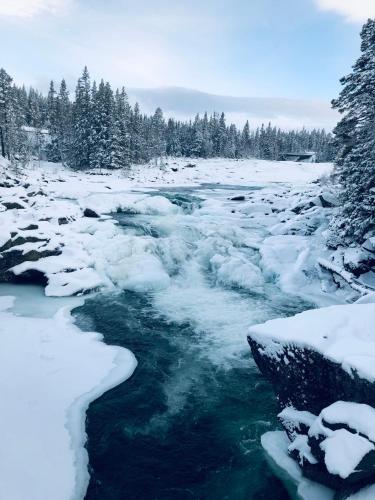 Vålågårdens Värdshus och Camping AB