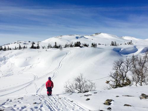 Vålågårdens Värdshus och Camping AB