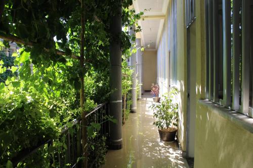 Bahir Dar Backpackers in Bahir Dar