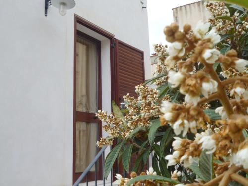  CVC "Anna" in Custonaci