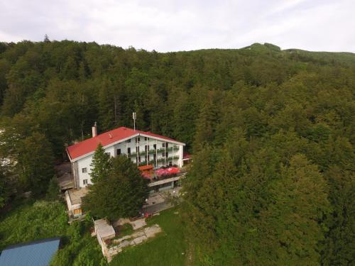 Accommodation in Platak