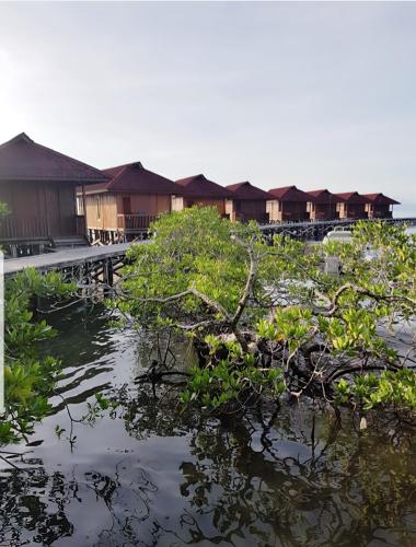 Korpak Villa & Resort Raja Ampat  in Raja Ampat