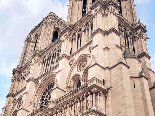 Mercure Paris Notre Dame Saint Germain des Prés - image 6