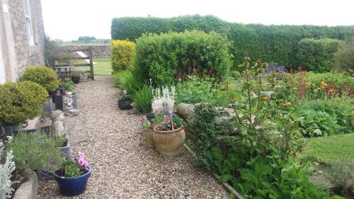 Lily Hill Farm - image 5
