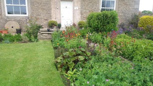 Lily Hill Farm - image 4