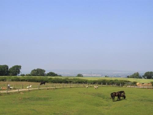 Lily Hill Farm