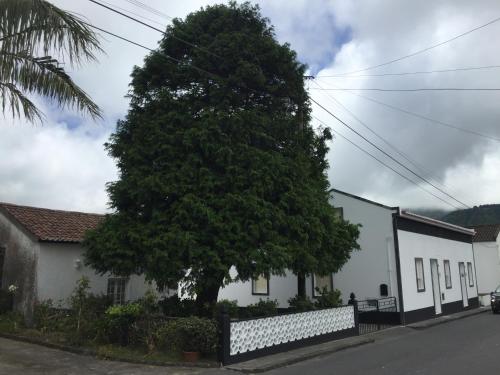 THE CEDAR TREE HOUSE, Sete Cidades