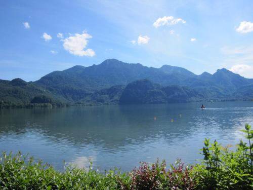 Hotel zur Post - image 13