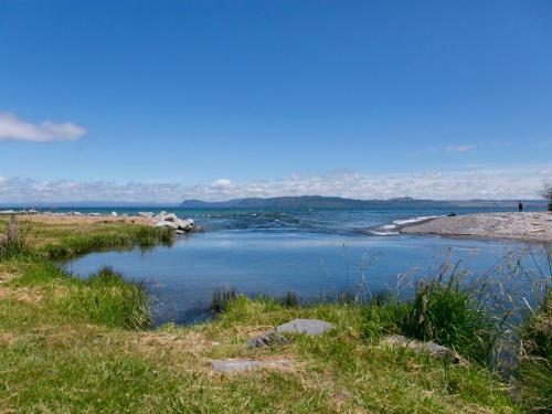 Bellbird Cottage - Lake Taupo Bach