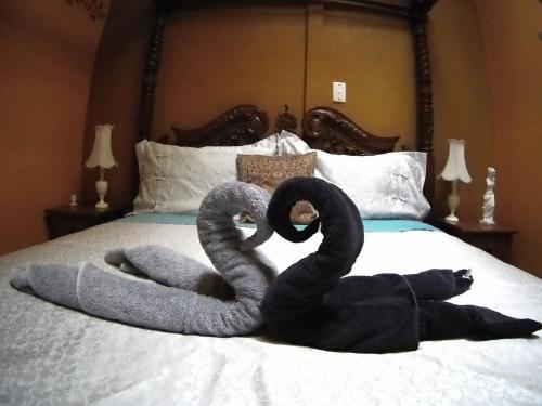 Létesítmények, Atlantis Backpackers and Motel in Picton