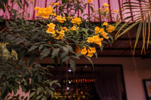 View, The Sanctuary Villa Battambang in Battambang