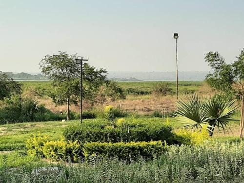 Apkārtne, Tangi Safari Lodge in Paraa